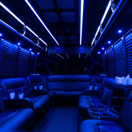 27 Pax Limo Party Bus
