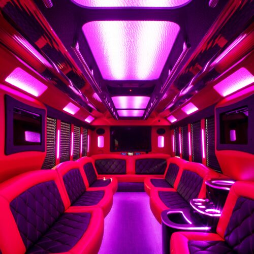30 Pax Limo Party Bus